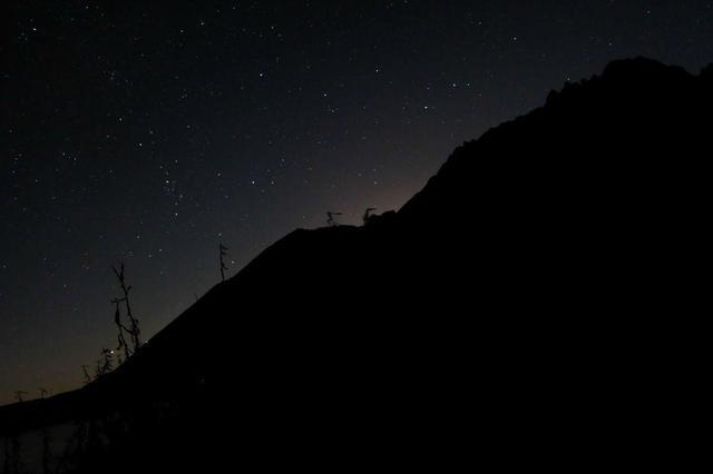 星露谷物语