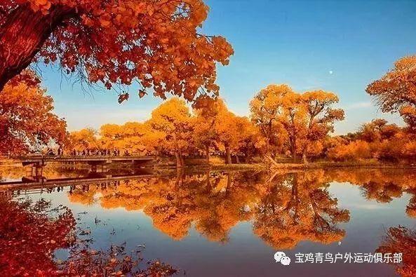 【研学教育】宜宾“小哪吒”勇闯哈尔滨,让孩子们在实践中成长