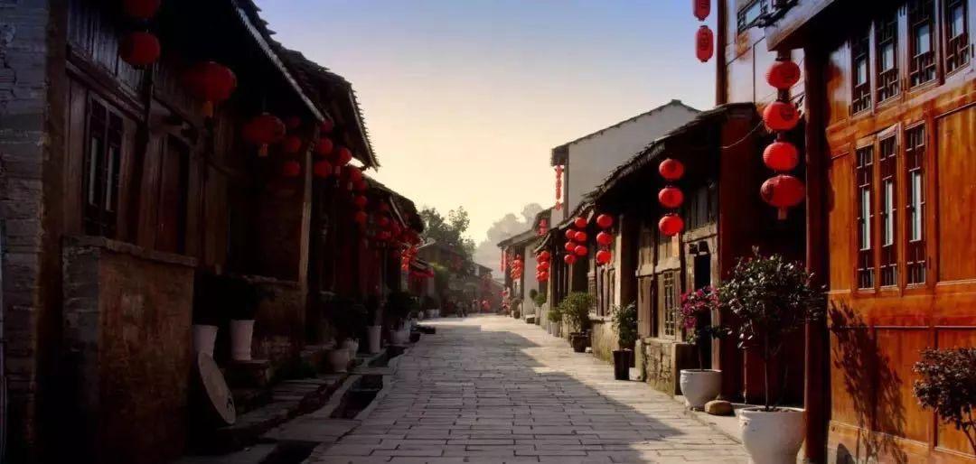 拿破仑：全面战争